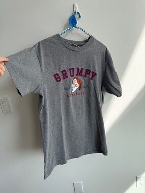 Disneyland Resorts Grumpy T-shirt
Large, but fits as a medium in my opinion.